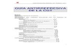 5.  cgt - guía antirrepresiva (2005)