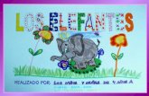 Presentación proyecto elefantes