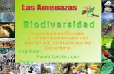 Amenazas a-la-biodiversidad-1-1222834242732248-9