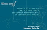 Fundación Caribe Sur: Corredores ecológicos como herramientas de ordenación territorial para la conservación integral