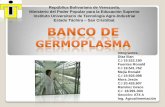 Banco de germoplasma