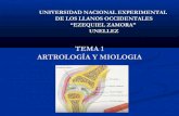 Presentación1 artrologia y miologia