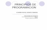 Ppiosprogramacion 090925153826-phpapp01[1]Principios de Programación