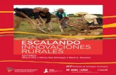 Innovaciones y desarrollo: el caso de las papas nativas