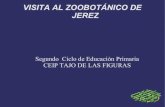 Visita al Zoobotánico de Jerez