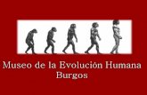 Burgos atapuerca-museo de la evolución humana-2 ernest gold - tema éxodo [1960]