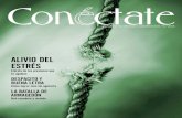 CONECTATE 044: MEDITACION