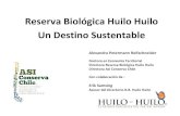 Reserva Biologica Huilo Huilo