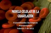 Modelo celular de coagulacion
