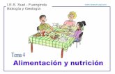 Tema 2: Alimentacion y nutrición