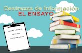Dest  Info El Ensayo