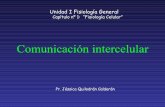 4.  Comunicacion Intercelualr