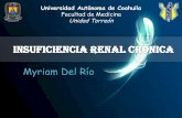 Insuficiencia Renal Crónica y Trasplante Renal