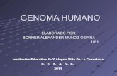 Genoma human ob