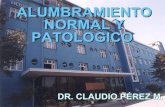 Ppa final alumbramiento_normal-patologico_v_ano_medicina2009