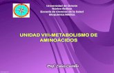 Unidad VIII metabolismo de aminoácidos