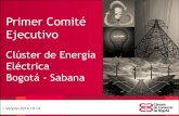 Primer Comité Ejecutivo Clúster de Energía Eléctrica Bogotá - Sabana