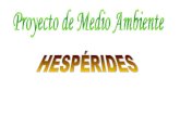 Proyecto HESPERIDES
