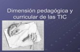 Dimensión Pedagxgica y Curricular de las TICs
