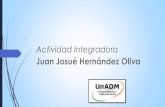 Juan hernández grupo234_actividad_integradora_