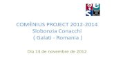Comènius project 2012 2014 131211