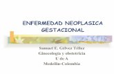 Enfermedad neoplasica gestacional mola