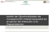 Informe Oportunidades Cooperacion en el Sector de Atencion a la Dependencia
