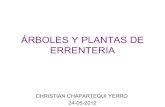 árboles y plantas de errenteria  christian-