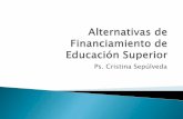 Alternativas De Financiamiento Educacion Superior