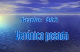 Veronica 902