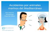 Accidentes por animales marinos del Mediterráneo