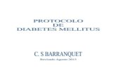 Barranquet Protocolo de diabetes mellitus