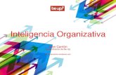 Inteligencia organizativa