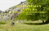 Ecosistema Y Cultura