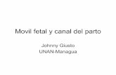 Movil Fetal Y Canal Del Parto