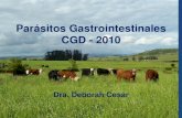Parasitos gastrointestinales   cgd 2010
