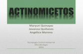 Actinomicetos: Caracteristicas y aplicación biotecnologica