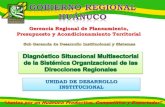 Diagnostico multisectorial MSV del Gobierno Regional Huánuco