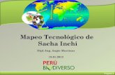 Mapeo tecnologico_de_sacha_inchi