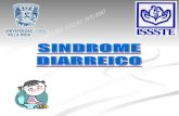 Sindrome diarreico y planes de hidratacion 4020