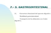 31.  Estructura Funcional Del Aparato Digestivo