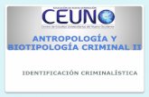 Identificacion antropologia 2