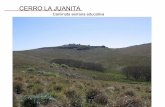 Cerro La Juanita
