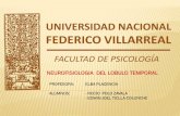 neuropsicologia neurtofisiologia universidad nacional federico villarreal  lobulo temporal