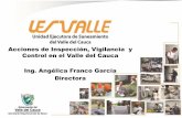 Acciones de inspección, vigilancia y control en el Valle del Cauca