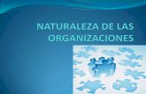 Naturaleza de las_organizaciones[1]