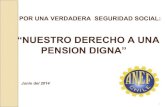 Presentación comisión pensiones   anef (ultima versión)