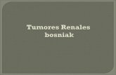 Tumores renales bosniak