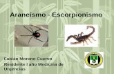 Aracnoidismo - Escorpionismo en Colombia