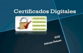Certificados digitales FGU